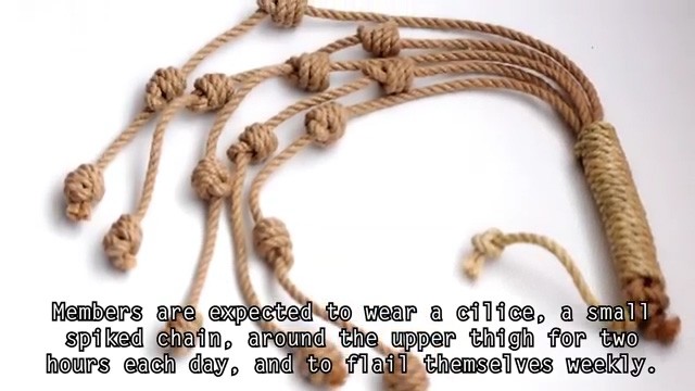 Members are expected to wear a cilice, a small spiked chain, around their upper thigh for two hours each day, and the flail themselves weekly.