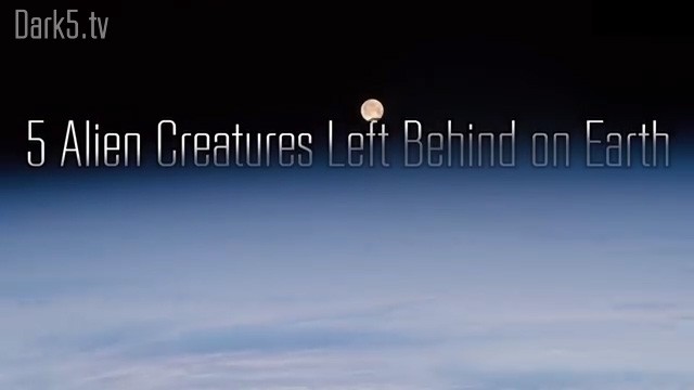 5 Alien Creatures Left Behind on Earth