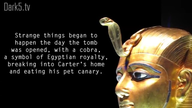 Strange things began to happen the day the tomb was opened, with a cobra, a symbol of Eygptian royalty, breaking into Carter's home and eating his pet canary.