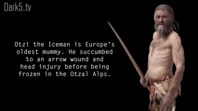 Otzi the Iceman is Europe's oldest mummy. He succumbed to an arrow wound and head injury before being frozen in the Otzal Alps.