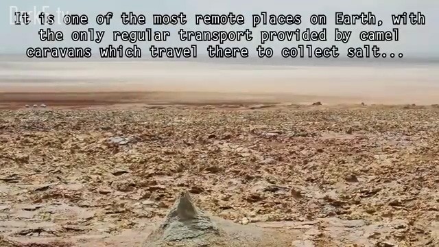 It is one of the most remote places on Earth, with the only regular transport provided by camel caravans which travel there to collect salt...