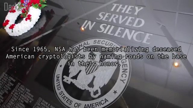 5 Intriguing Facts about the NSA