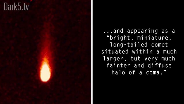...and appearing as a "bright, miniature, long-tailed comet situated within a much larger, but very much fainter and diffuse halo of a coma."