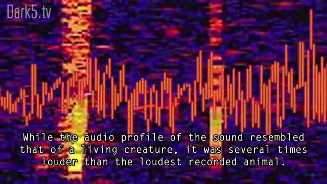 5 Most Mysterious Sounds Ever Recorded