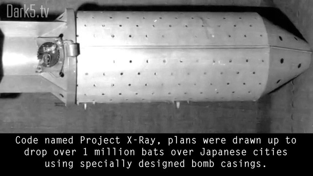 Code named Project X-Ray, plans were drawn up to drop over 1 million bats over Japanese cities using specially designed bomb casings.