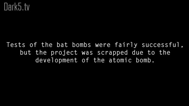 Tests of the bat bombs were fairly successful, but the project was scrapped due to the development of the atomic bomb.